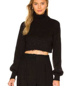 L'Academie Lucia Cropped Turtleneck In Black